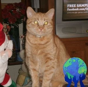 Meet your Posher, Terry